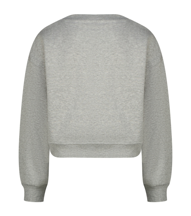 Raizzed truien & vesten 910 Grey Mele R225KG340075-910