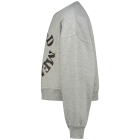 Raizzed truien & vesten 910 Grey Mele R225KG340075-910