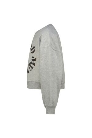 Raizzed truien & vesten 910 Grey Mele R225KG340075-910