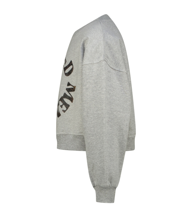Raizzed truien & vesten 910 Grey Mele R225KG340075-910