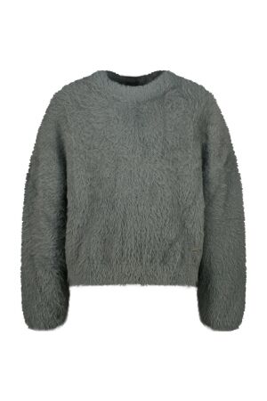 Raizzed truien & vesten 947 Shade Grey R225KG342045-947