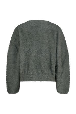 Raizzed truien & vesten 947 Shade Grey R225KG342045-947