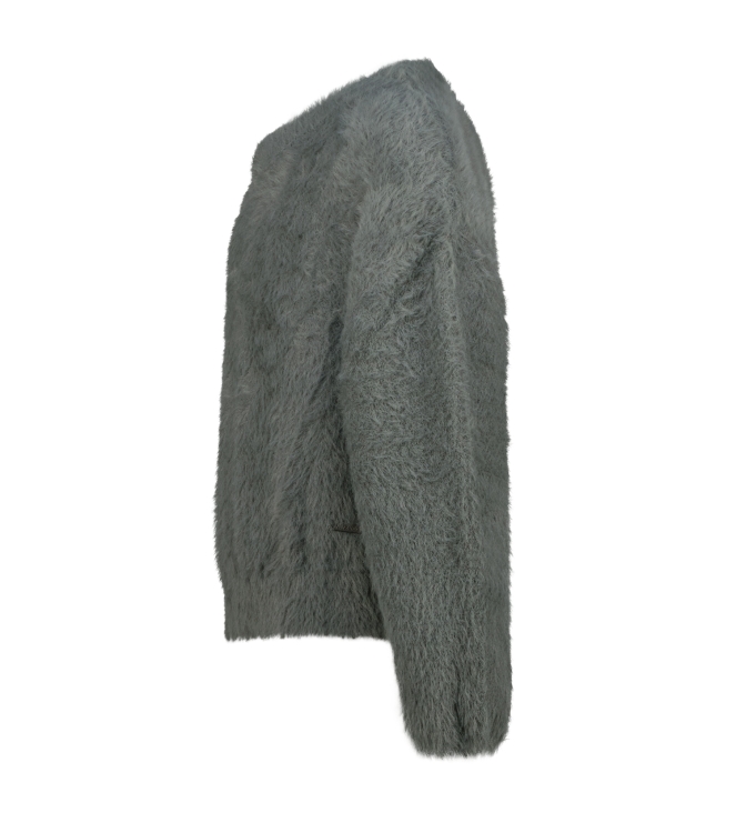 Raizzed truien & vesten 947 Shade Grey R225KG342045-947