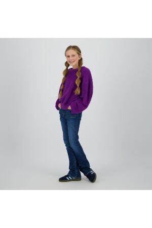 Raizzed truien & vesten 875 Advent purple R225KG342046-875