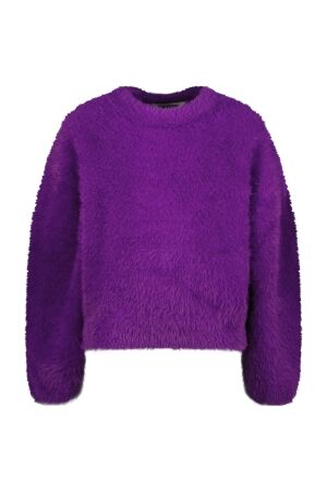 Raizzed truien & vesten 875 Advent purple R225KG342046-875