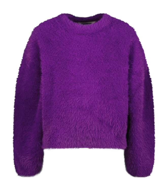Raizzed truien & vesten 875 Advent purple R225KG342046-875