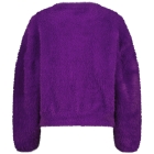 Raizzed truien & vesten 875 Advent purple R225KG342046-875