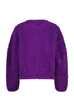 Raizzed truien & vesten 875 Advent purple R225KG342046-875