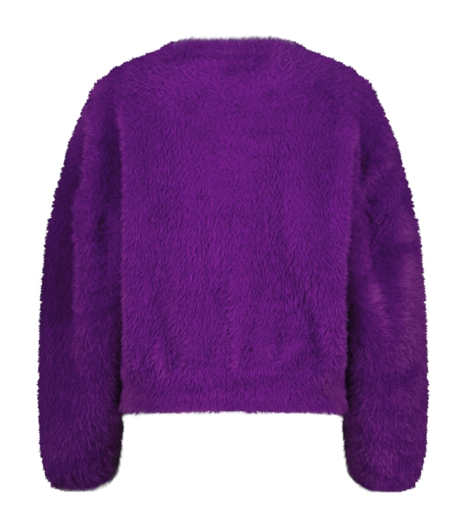 Raizzed truien & vesten 875 Advent purple R225KG342046-875