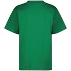 Vingino shirts 1455 Green tambourine AW25KB300219-1455