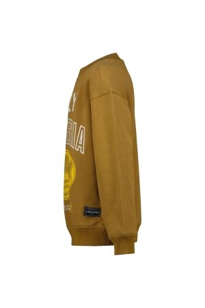 Vingino truien & vesten 758 Dijon brown AW25KB340144-758