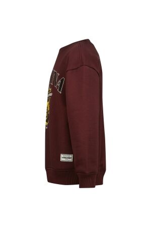 Vingino truien & vesten 757 Chocolate truffle AW25KB340198-757