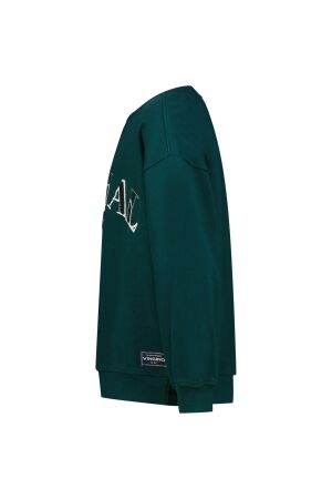 Vingino truien & vesten 294 Dark jungle green AW25KB340204-294