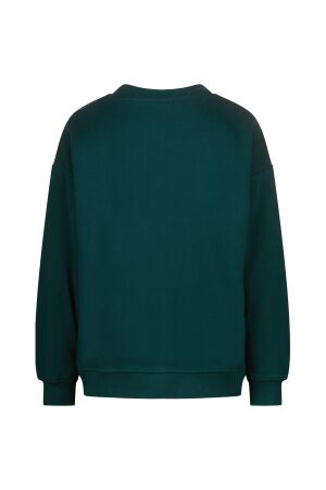 Vingino truien & vesten 294 Dark jungle green AW25KB340204-294