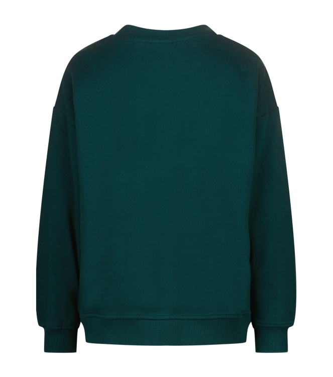 Vingino truien & vesten 294 Dark jungle green AW25KB340204-294
