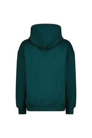 Vingino truien & vesten 294 Dark jungle green AW25KB340213-294