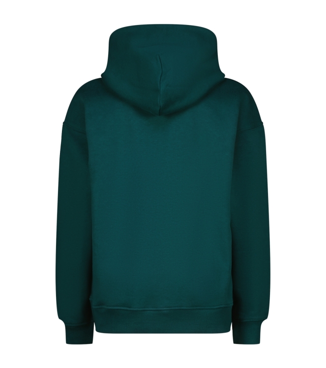 Vingino truien & vesten 294 Dark jungle green AW25KB340213-294