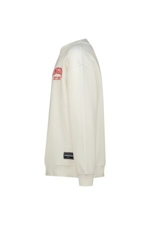 Vingino truien & vesten 007 Cloud White AW25KB340214-007