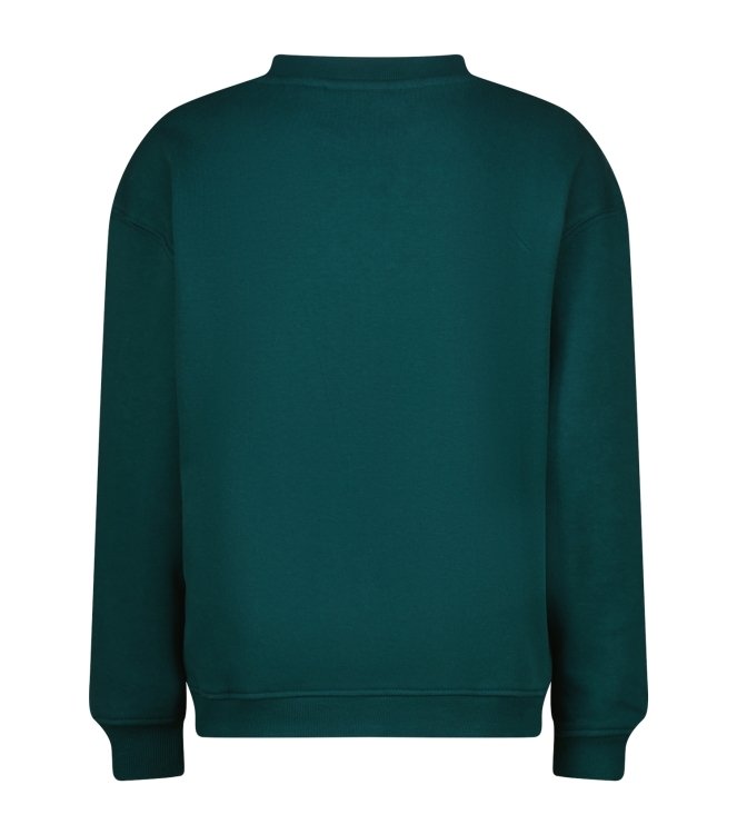 Vingino truien & vesten 294 Dark jungle green AW25KB340214-294
