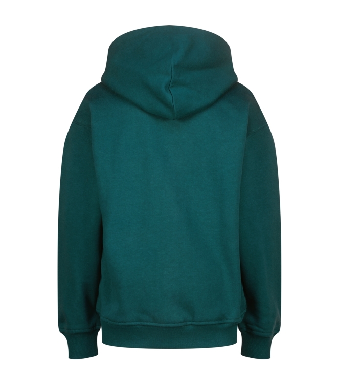 Vingino truien & vesten 294 Dark jungle green AW25KB348215-294
