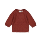 Feetje truien & vesten 115 Berry 51602368