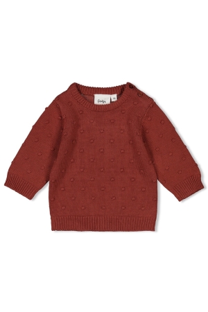 Feetje Grow Your Own Way - Trui gebreid 115 Berry