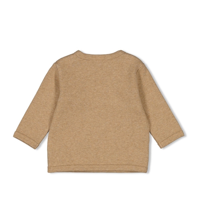Feetje shirts 415 Bruin melange 51602374