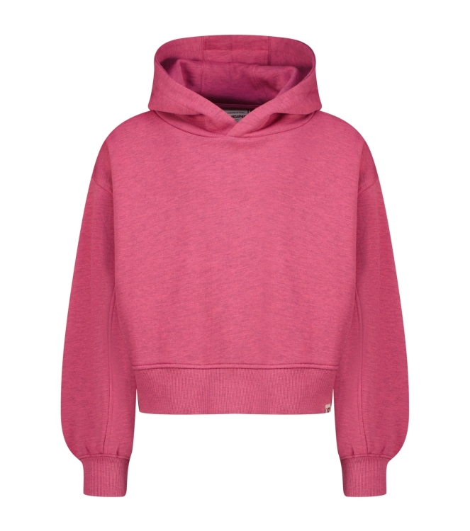 Vingino truien & vesten 1253 Berry pink AW25KG340130-1253