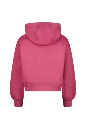 Vingino truien & vesten 1253 Berry pink AW25KG340130-1253