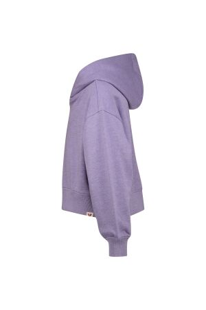 Vingino truien & vesten 893 Verbena lilac AW25KG340130-893