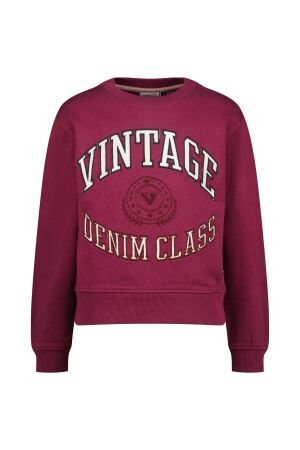Vingino truien & vesten 559 Raspberry red AW25KG340190-559