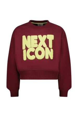 Vingino Nomee Sweater 692 Burgundy red