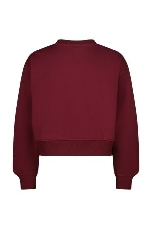 Vingino truien & vesten 692 Burgundy red AW25KG340247-692