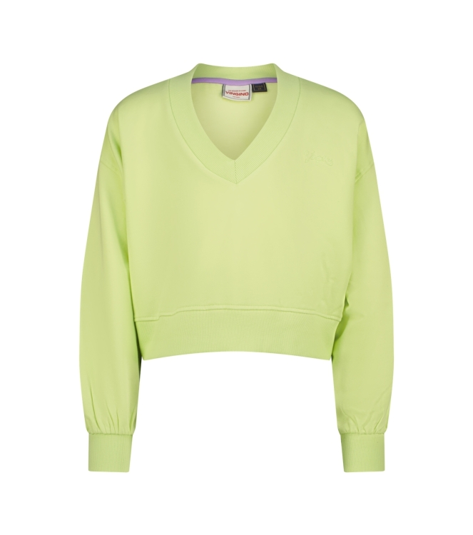 Vingino truien & vesten 1469 Shadow lime AW25KG340332-1469