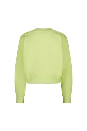 Vingino truien & vesten 1469 Shadow lime AW25KG340332-1469