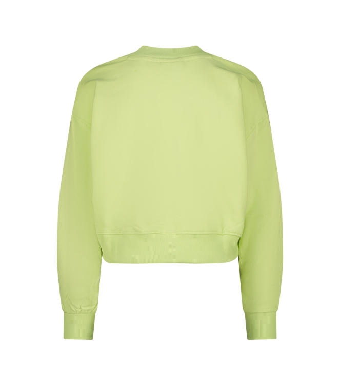 Vingino truien & vesten 1469 Shadow lime AW25KG340332-1469