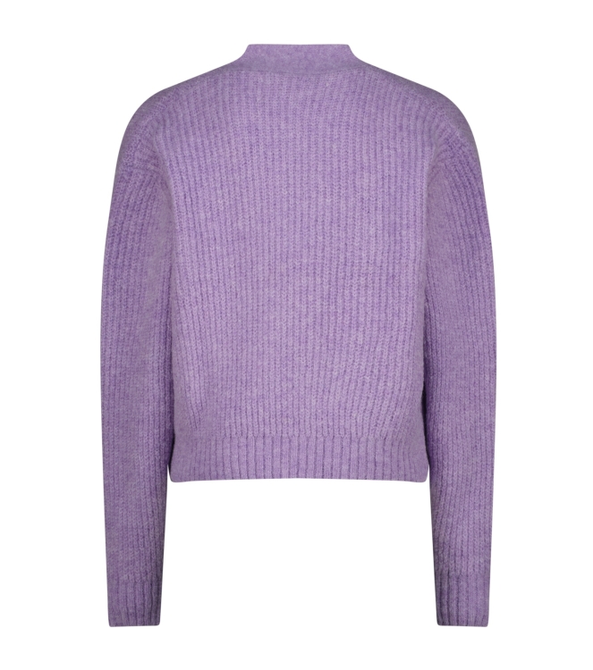 Vingino truien & vesten 893 Verbena lilac AW25KG382121-893