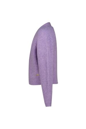 Vingino truien & vesten 893 Verbena lilac AW25KG382121-893