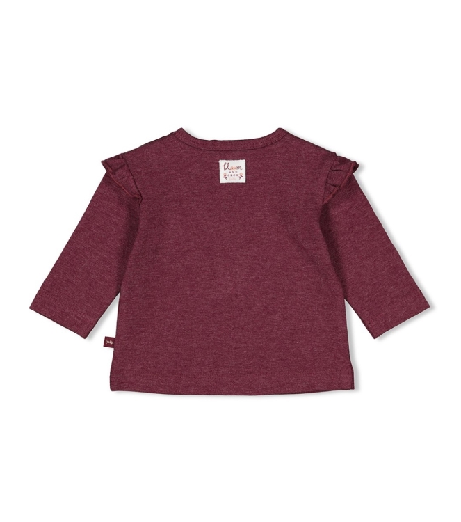 Feetje shirts 120 Wijn melange 51602385