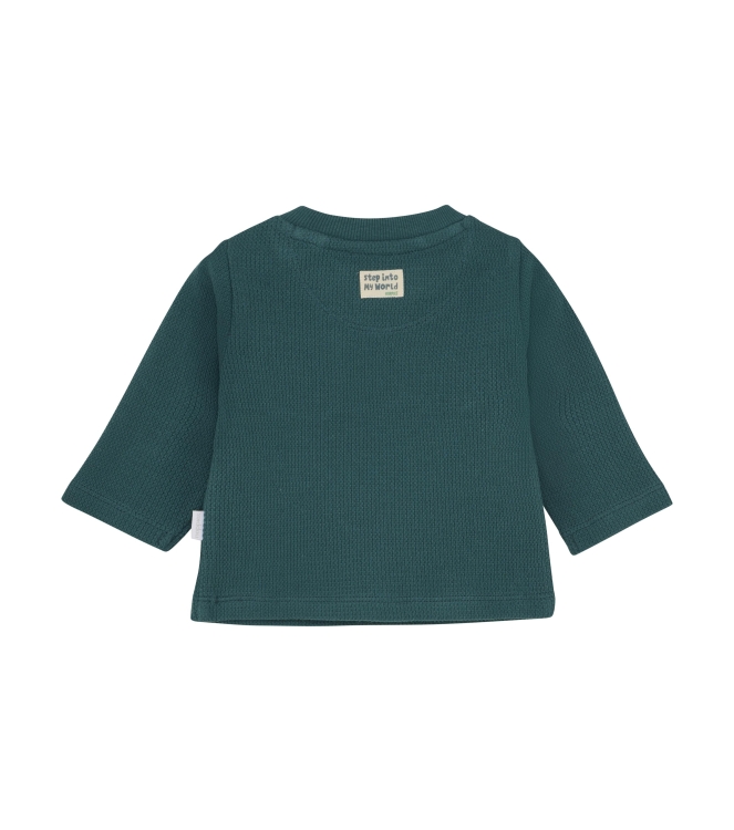 Noppies shirts N401 Mediterranea 5470016