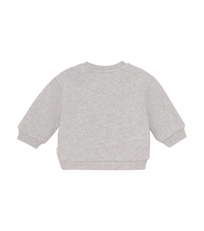 Noppies truien & vesten P287 Grey Melange 5470210