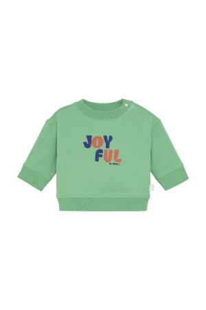 Noppies Sweater Savoy P022 Winter Green
