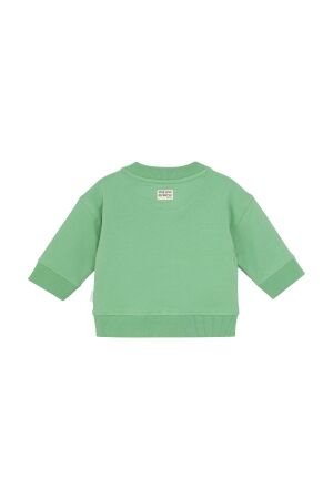 Noppies truien & vesten P022 Winter Green 5470212