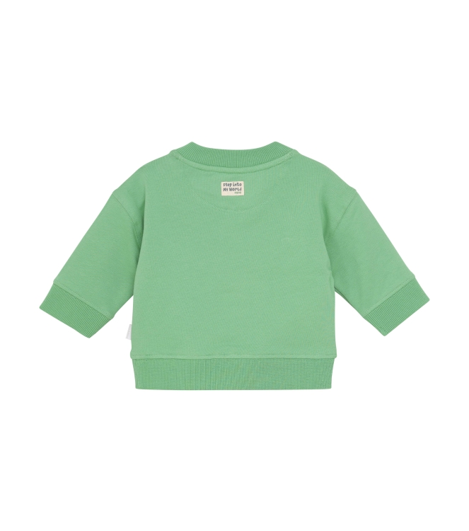 Noppies truien & vesten P022 Winter Green 5470212
