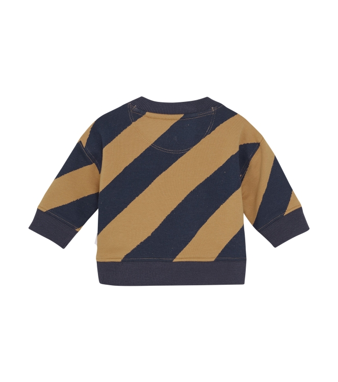 Noppies truien & vesten N335 Stripe pattern Dark Blue 5480212