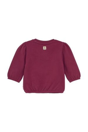 Noppies truien & vesten N386 Beaujolais 5490213
