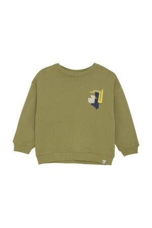 Noppies Sweater Ray N360 Dried Herb