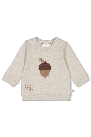 Feetje Acorn - Sweater 665 Grijs melange
