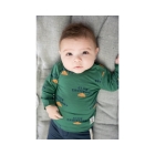 Feetje shirts 300 Groen 51602415