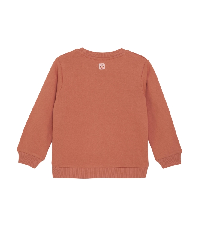 Noppies truien & vesten P822 Apricot Brandy 5580210